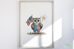 4th of July Eagles Clipart Product Image 2
