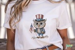 4th of July Eagles Clipart Product Image 5