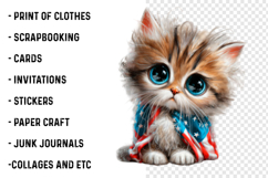 4th Of July Flag Cat Clipart Product Image 2