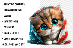 4th Of July Flag Cat Clipart Product Image 2