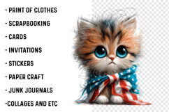 4th Of July Flag Cat Clipart Product Image 2