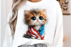4th Of July Flag Cat Clipart Product Image 3