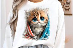 4th Of July Flag Cat Clipart Product Image 3