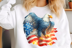 4th Of July Flag-Stained Glass Clipart Product Image 3