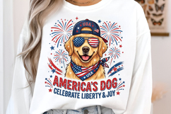 4th of July Sublimation PNG Product Image 2