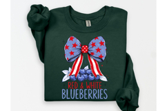 4th of July Red White Blueberries PNG Product Image 3