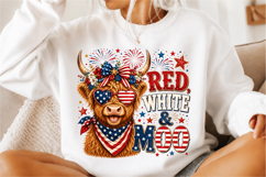 4th Of July sublimation design PNG Product Image 2