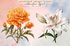 Vintage Flower Watercolor Sublimation Clipart Product Image 5