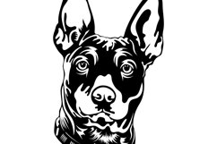 Dwarf Pinscher Bandle Svg/Dog Svg/Png/Jpg/Ai/Vector breed Product Image 7