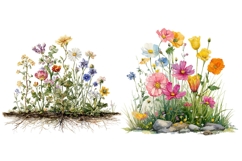 14 Watercolor Wildflower Clipart Bundle, Botanical Flowers Product Image 6
