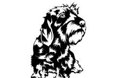 Wirehaired Dachshund Svg/Png/Jpg/Ai/Vector purebred breed Product Image 4