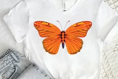 Watercolor Groovy Butterflies Sublimation PNG Product Image 2