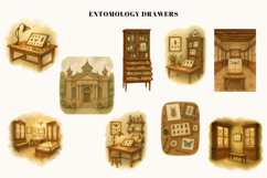 Secrets of the Insect Cabinet 51 Watercolor Cliparts Product Image 5