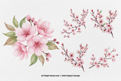 15 Bundle Watercolor Sakura Flower Cherry Blossom Japanese Product Image 5