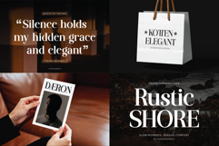 Modern and Retro Serif Font Bundle Product Image 11