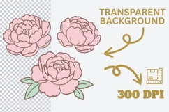 Coquette Floral Clipart PNG SVG, Pastel Bows Flowers Stars Product Image 5