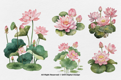 15 Bundle Watercolor Lotus Flower Meditation Elegant Floral Product Image 5