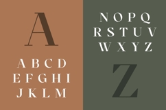 Cronisse - Modern Display Serif Product Image 5