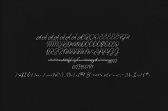 Stolid Signature Script Modern Elegant Typeface Product Image 5