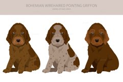 Bohemian Wirehaired Pointing Griffon Product Image 2
