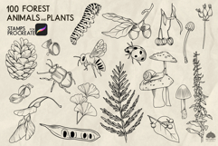 Forest Life Procreate stamp brushes Product Image 5