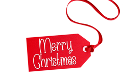 Happy Reindeer Product Image 5