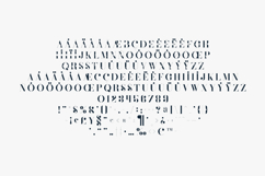 Defect Distressed Vintage Serif Font Product Image 5