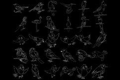 Birds Outlines Set 1 Procreate Brush Stamps, 30 Bird Product Image 5