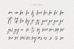 Figetress Signature Product Image 4