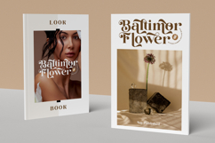 Dilema Figural - Elegant Modern Font Product Image 5