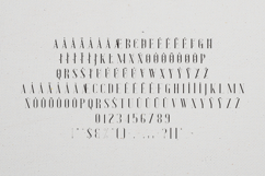 Desire Elegant Botanical Serif Font Product Image 5