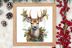 Watercolor Christmas Deer Sublimation Bundle, Christmas Deer Product Image 4