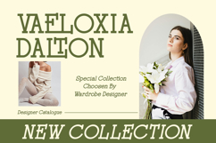 Rochilo - Stylish Slab Ligatures Font Product Image 5