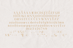 Serifora Elegant Classic Serif Font Product Image 5