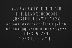 Elysian Elegant Modern Serif Font Product Image 5