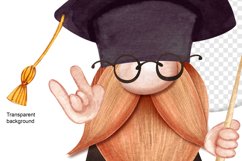 gnomes graduation scandinavian gnomes Product Image 5