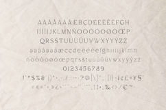 Arcadian Elegant Classic Serif Font Product Image 5