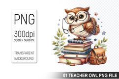 Teacher Owl Clipart PNG, Cute Owl, Digital Download File Product Image 1