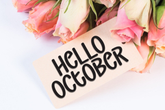 Note Book Product Image 5