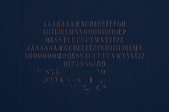 Thorn Tale Echo Edition Luxury Modern Serif Font Product Image 5