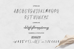Torastige Script Product Image 6