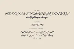 Rovik Angular Brush Script Font Product Image 5