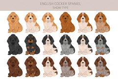English Cocker Spaniel show-type Product Image 4