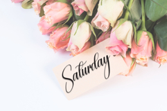 Santana Product Image 5