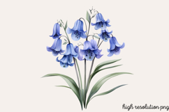 Watercolor Spring Flowers Clipart Bundle PNG Product Image 10
