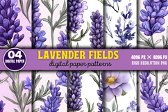 Lavender Fields Graphics Background PNG Product Image 1