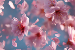 Pink cherry blossoms falling against blue sky background Product Image 1