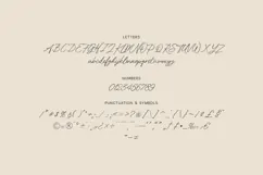 Volda Fluid Signature Script Font Product Image 5