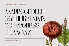 Bunmerang - Display Logo Product Image 9