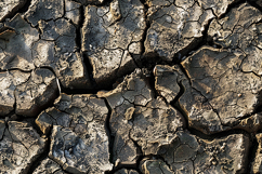 Dry cracked earth with deep fissures &amp; parched soil texture Product Image 1